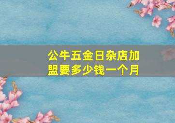 公牛五金日杂店加盟要多少钱一个月