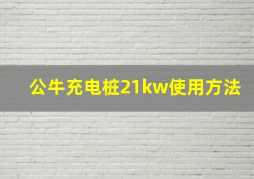 公牛充电桩21kw使用方法