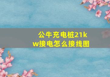 公牛充电桩21kw接电怎么接线图