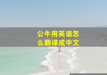 公牛用英语怎么翻译成中文