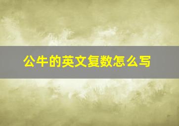 公牛的英文复数怎么写