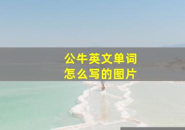 公牛英文单词怎么写的图片