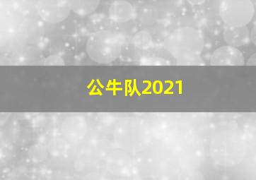 公牛队2021