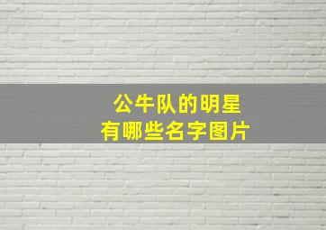 公牛队的明星有哪些名字图片