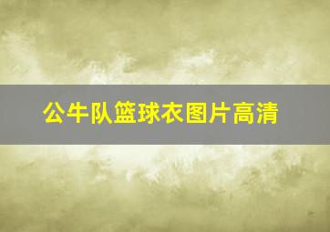 公牛队篮球衣图片高清