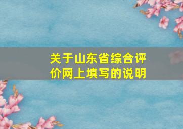 关于山东省综合评价网上填写的说明