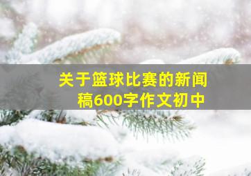 关于篮球比赛的新闻稿600字作文初中