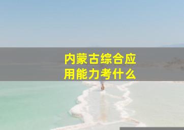 内蒙古综合应用能力考什么