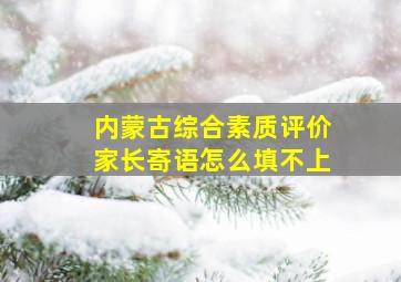 内蒙古综合素质评价家长寄语怎么填不上