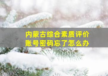 内蒙古综合素质评价账号密码忘了怎么办