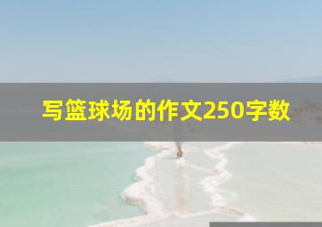 写篮球场的作文250字数