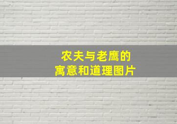 农夫与老鹰的寓意和道理图片