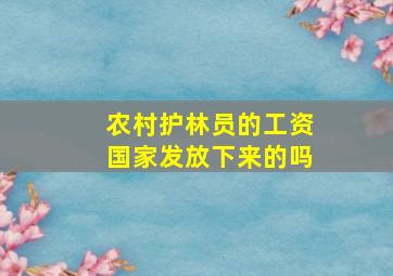 农村护林员的工资国家发放下来的吗