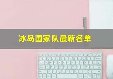 冰岛国家队最新名单