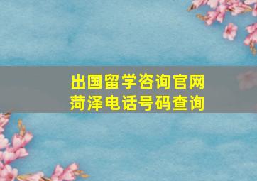 出国留学咨询官网菏泽电话号码查询