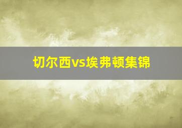 切尔西vs埃弗顿集锦