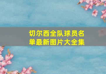 切尔西全队球员名单最新图片大全集