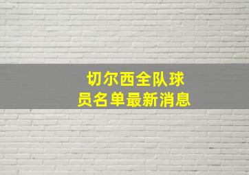 切尔西全队球员名单最新消息