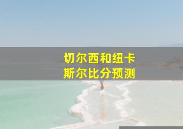 切尔西和纽卡斯尔比分预测