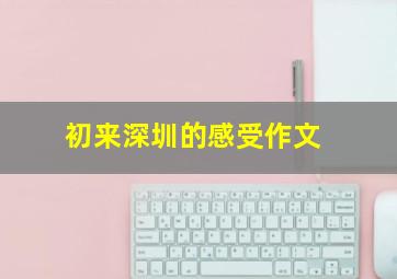 初来深圳的感受作文