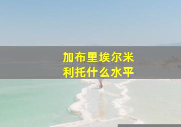 加布里埃尔米利托什么水平