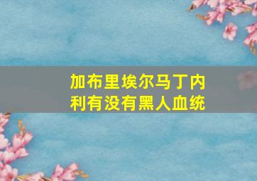 加布里埃尔马丁内利有没有黑人血统