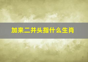 加来二并头指什么生肖