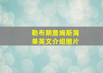 勒布朗詹姆斯简单英文介绍图片