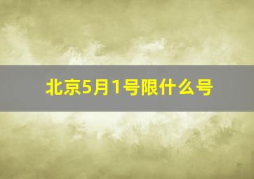 北京5月1号限什么号