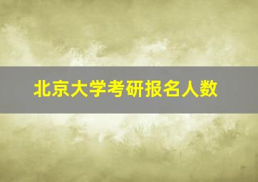 北京大学考研报名人数