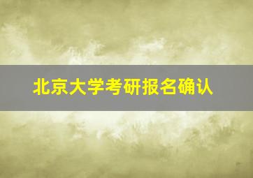 北京大学考研报名确认