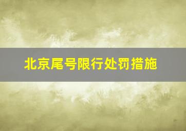 北京尾号限行处罚措施