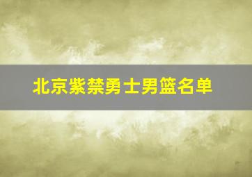 北京紫禁勇士男篮名单