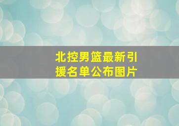 北控男篮最新引援名单公布图片