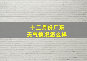 十二月份广东天气情况怎么样