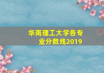 华南理工大学各专业分数线2019