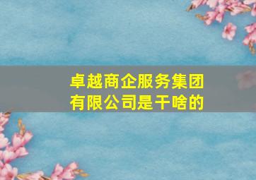 卓越商企服务集团有限公司是干啥的