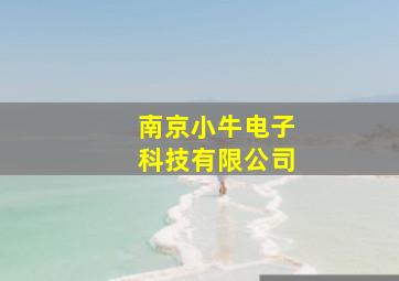 南京小牛电子科技有限公司