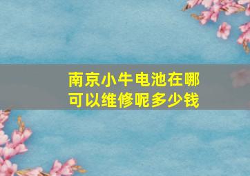 南京小牛电池在哪可以维修呢多少钱