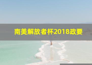 南美解放者杯2018政要