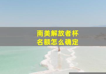 南美解放者杯名额怎么确定