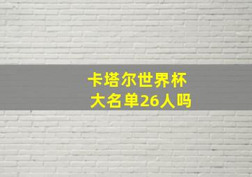 卡塔尔世界杯大名单26人吗