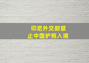 印尼外交部禁止中国护照入境