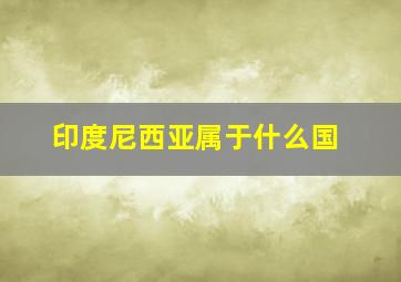 印度尼西亚属于什么国