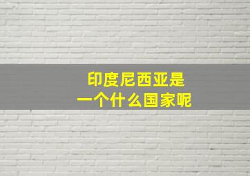 印度尼西亚是一个什么国家呢