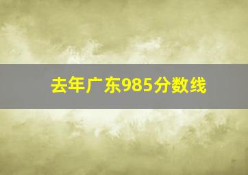 去年广东985分数线