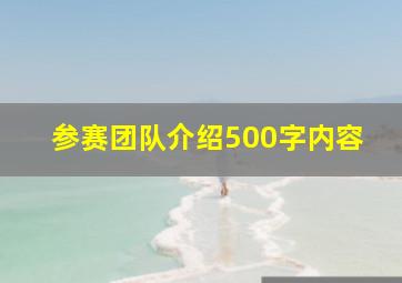 参赛团队介绍500字内容