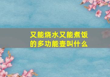 又能烧水又能煮饭的多功能壶叫什么