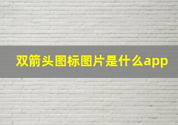 双箭头图标图片是什么app