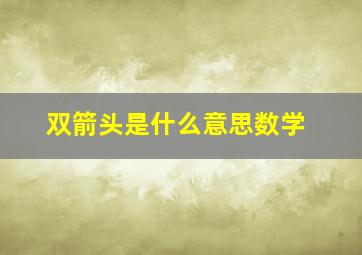 双箭头是什么意思数学